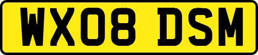 WX08DSM