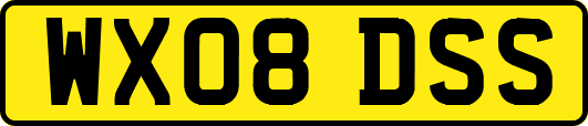 WX08DSS
