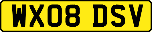 WX08DSV