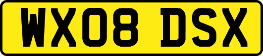 WX08DSX