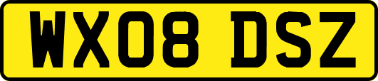 WX08DSZ