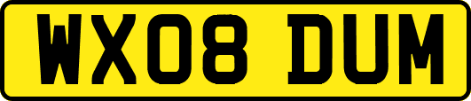 WX08DUM