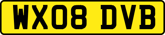 WX08DVB