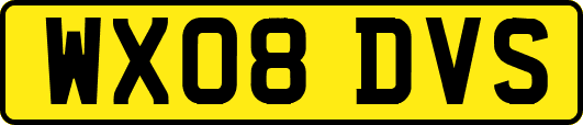 WX08DVS