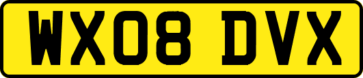 WX08DVX