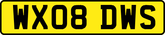 WX08DWS