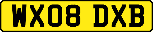 WX08DXB