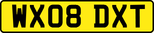 WX08DXT