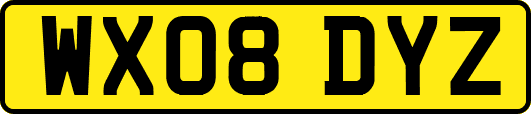 WX08DYZ