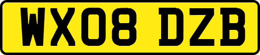 WX08DZB