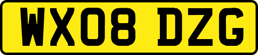 WX08DZG