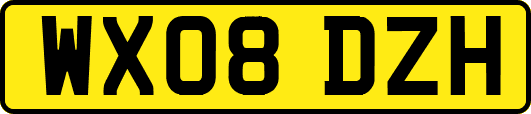 WX08DZH