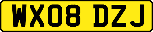 WX08DZJ