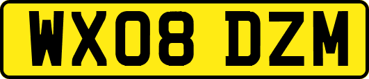 WX08DZM