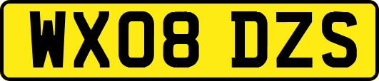 WX08DZS