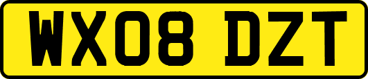 WX08DZT