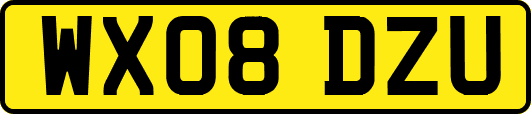 WX08DZU