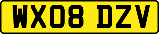 WX08DZV