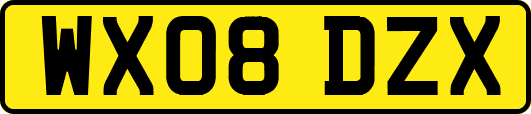 WX08DZX