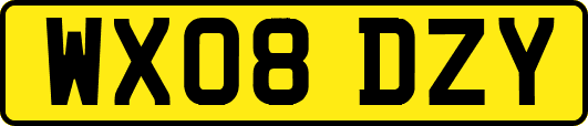 WX08DZY