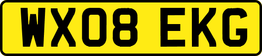 WX08EKG