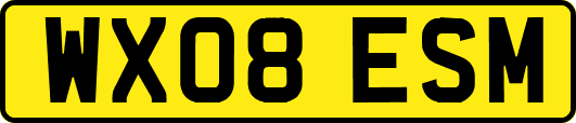 WX08ESM