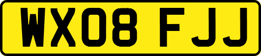 WX08FJJ