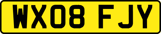 WX08FJY