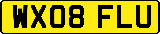 WX08FLU