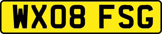 WX08FSG