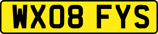 WX08FYS