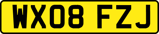 WX08FZJ