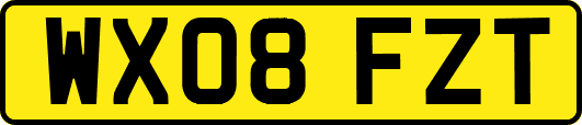 WX08FZT
