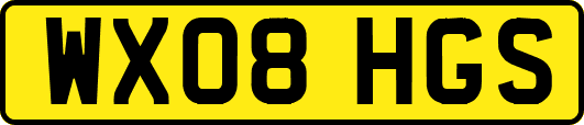 WX08HGS