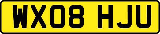 WX08HJU