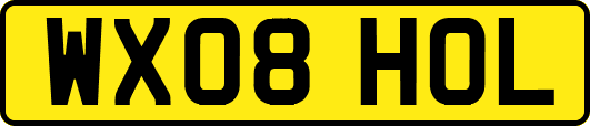 WX08HOL