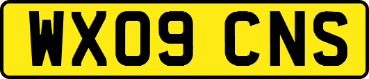 WX09CNS