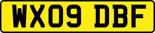 WX09DBF