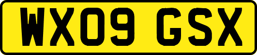 WX09GSX