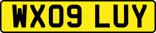 WX09LUY