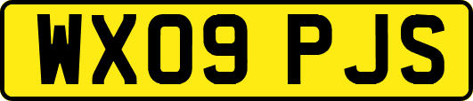WX09PJS