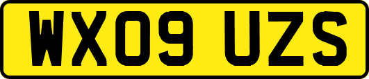 WX09UZS