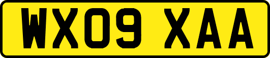 WX09XAA
