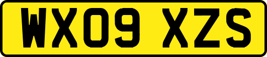 WX09XZS