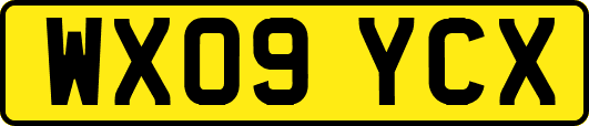 WX09YCX