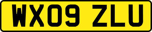 WX09ZLU