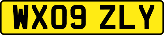 WX09ZLY