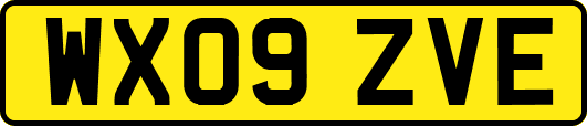 WX09ZVE