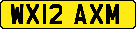 WX12AXM