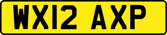 WX12AXP
